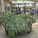 우아농장 이미지