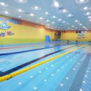 스위밍키즈 이미지