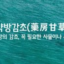감초방