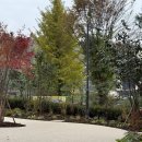 자연과 콩 이미지