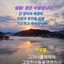 "홍집사의 잡다한 이야기"---(1069) " 신앙 이야기"---(319) (아프리카의 나이팅게일) 이미지