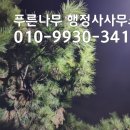 나무그늘 행정사사무소 이미지