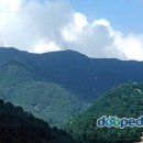 태백산맥 이미지