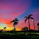 그린밸리 이미지