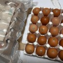 홍천자연랜드 이미지