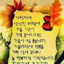 숲속의평창 이미지