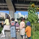 콩세알어린이집 이미지