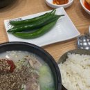오행약손