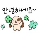 애견1번지 네이버블로그