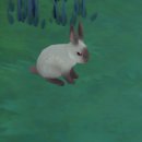 순박1농장 이미지