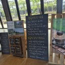 제주 수국 명소 보롬왓 후기 아이들과 깡통기차 타고 꽃구경까지
