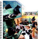 대성박골농장 | 민족의 애환이 스며있는 간도의 용정.