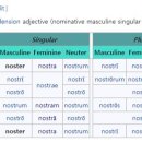 아니마메아 (anima mea) | 라틴어 소유형용사(possessive adjective) 또는 소유대명사