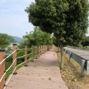 섬진강 트레킹코스 이미지