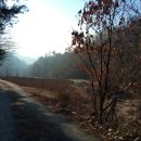 용한농장 Daum카페