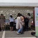 여성도시 이미지