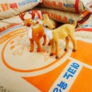 안심사슴농장 이미지