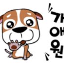 히마와리
