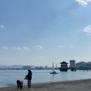 낭만..사랑..포항 당일치기🌊 (조새호조개구이/오브레멘카페 후기)