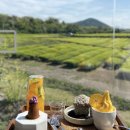 제주전통하우스 이미지