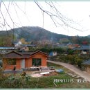 전남장성(금곡 영화마을,축령산 편백나무) 순창(고추장마을) 담양(온천) 여행 -2 이미지