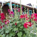 친구 태양광발전소 이미지