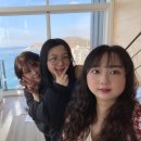 비치힐 플러스 네이버블로그