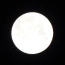 갤러리순 이미지