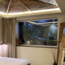 전주동물원 | 전주 여행 추천 | 10만 원대 감성 숙소 ‘오붓’, 독립서점 ‘카프카’, 연화정 도서관, 전주동물원 후기