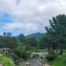 초록마을민박 이미지