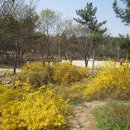 학산게이트볼장 이미지