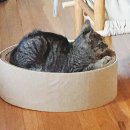 슬기로운 집사생활 이미지