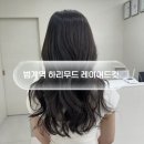 서정 | 범계역 미용실 레이어드컷 맛집 찾다! 하리무드 본점 서정디자이너 후기 | 대만족