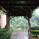 물연구소 이미지