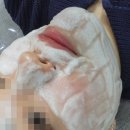 호린 | 사가정피부관리 호린왁싱앤뷰티 물광플래닝 관리 후기