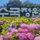 (주)수국 - 광주시 | (주)수국