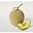 주식회사 오필리아 이미지