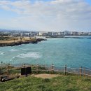 선흘곶 사계 | 가족 여행 3일차 | 서우봉, 종종제주, 비밀의숲, 선흘곶, 애니네 빈티지, 사계카페,함덕해수욕장, 도톰횟집