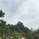 파인트리하우스 이미지