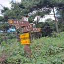 매남목장 네이버블로그