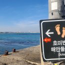 호미반도해안둘레길 이미지