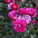 누구나 힘든 삶 이미지