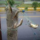 모모별장 이미지