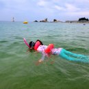 공현진 민박 이미지