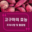 고구마짐 네이버블로그