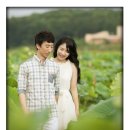 22번가(st) | (D-77, 데이트스냅) 스냅22번가 - 일생 단한번의 웨딩...사진, 경남 스냅 추천, Snap22st. 창원 데이트스냅