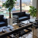 고색애견 이미지