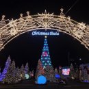 아라온리조트 이미지