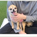 아이조아 요양보호소 경기광주 이미지