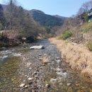 조은터부동산중개사무소 이미지